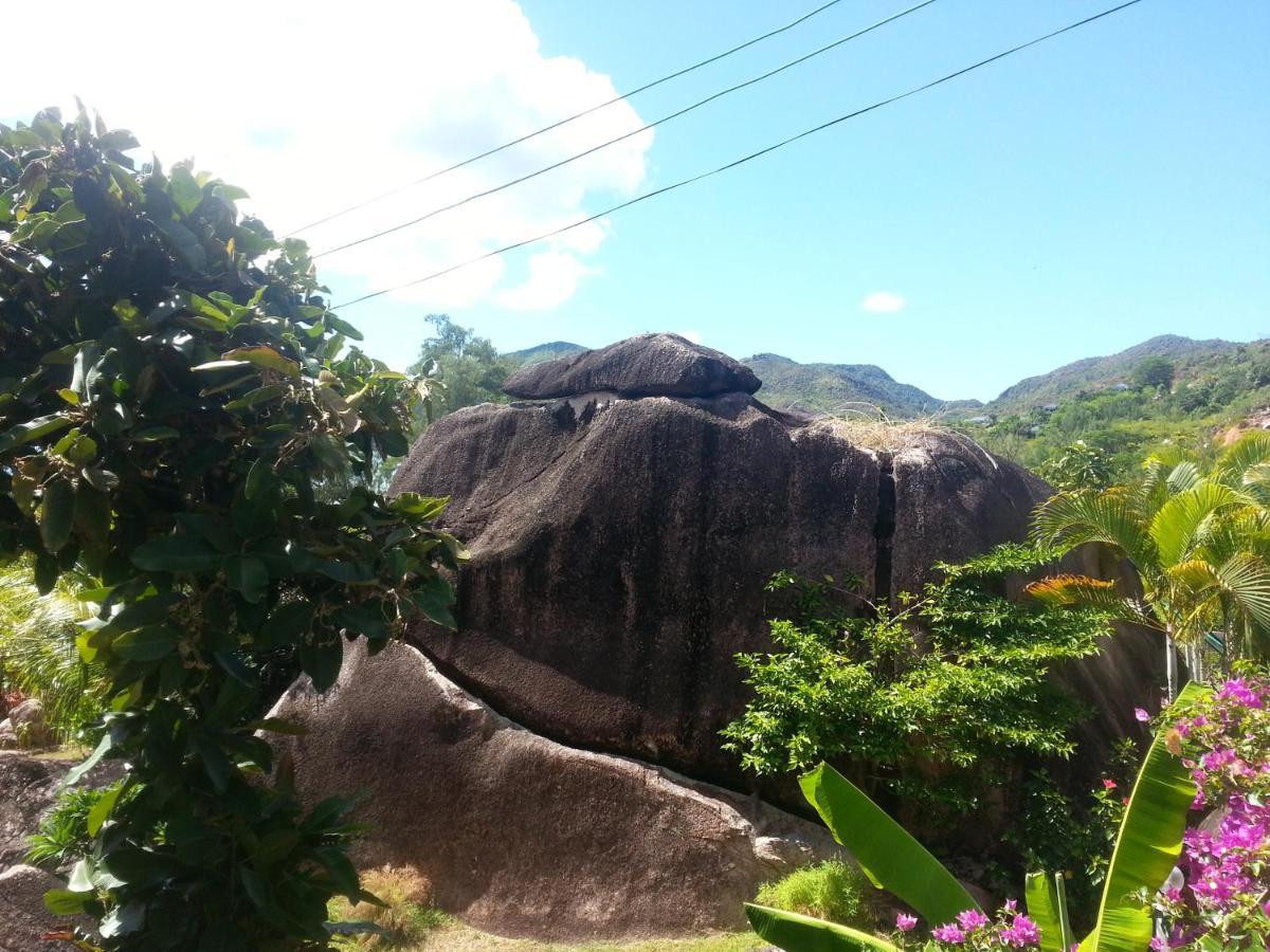 Baie Sainte AnneJardin Marronアパートメント エクステリア 写真
