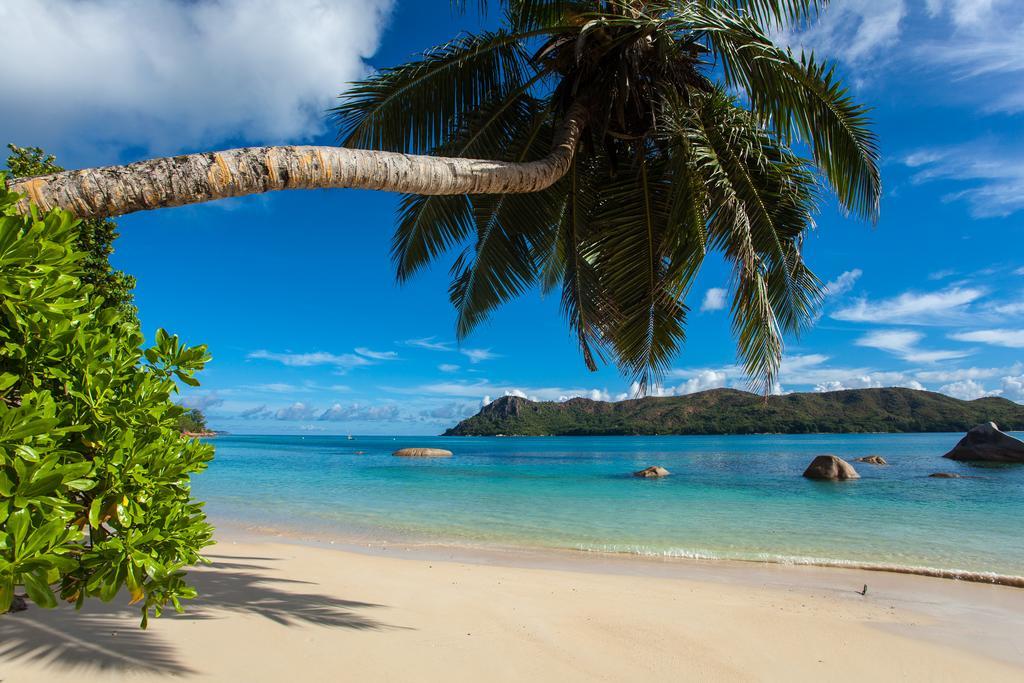 Baie Sainte AnneJardin Marronアパートメント エクステリア 写真