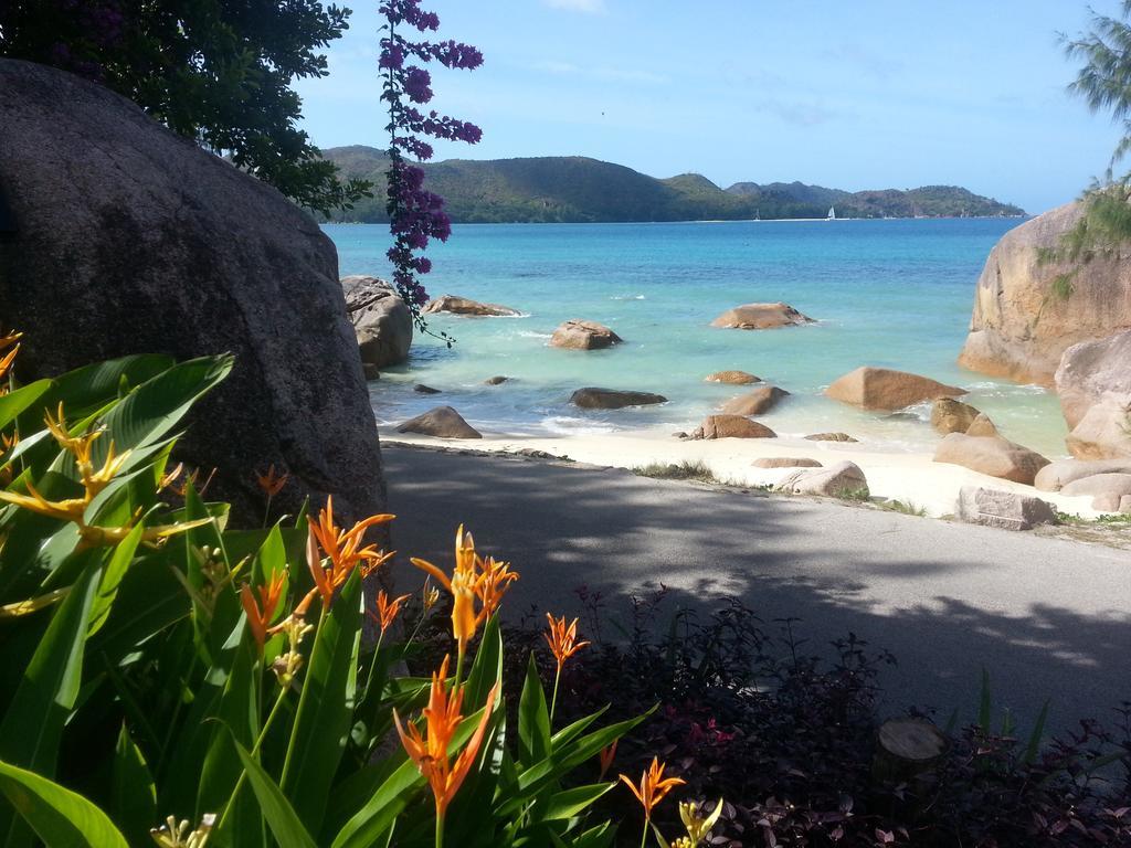 Baie Sainte AnneJardin Marronアパートメント エクステリア 写真
